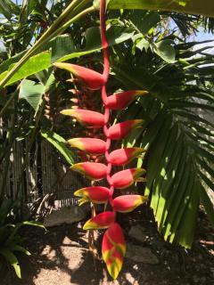 Villa Margot avec piscine privée proche mer, marina et golf - 6