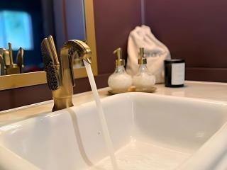 The Florentine Waterfront Hotel - Florence - 3