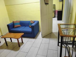 Alicia's lodge - Port-of-Spain - 7