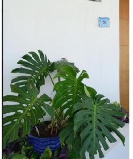 Mi Apartamento en Cartagena - 2