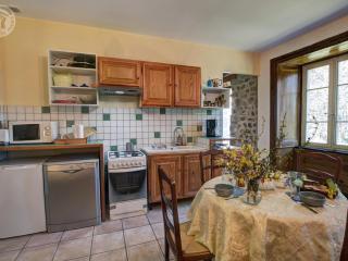 Gîte de caractère 13ème siècle avec cheminée et jardin à Marlhes - FR-1-496-55 - 1