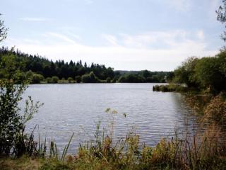 Gîte au calme avec terrasse, cheminée et pêche à proximité, animaux acceptés. - FR-1-496-225 - Les Salles - 1