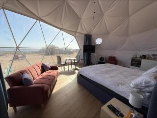 Dome at Hardwicke - Brentwood - 7