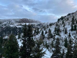 Rustic Hut Salzburg near Ski Slopes - 9