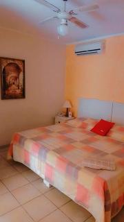 Anturio Xpress - Cuernavaca - 6