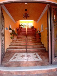 Anturio Xpress - Cuernavaca - 5