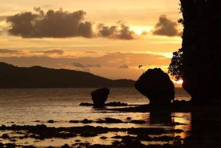 Zen Oasis Resort - El Nido - El Nido - 2