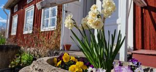 Lillåns B&B - Örebro - 5