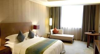 Yinchuan Ningdong Aolisheng Fern Boutique Hotel - Maliantai - 9