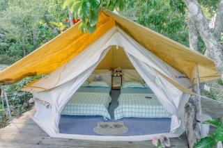 Vuon Hong Le Phuc-Cau Dat Glamping Retreat Da Lat - Ấp Trạm Hành - 1