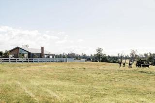 A Farmhouse escape 15 minutes from Launceston - Carrick - 0