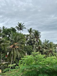 Umah Made Bali Home & Art Space With Kitchen - Ubud - 6