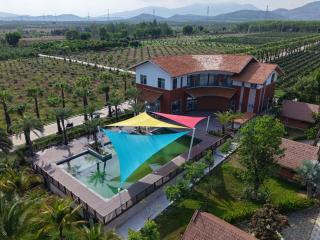 Hoàng Long Tropical Farmstay - - 7