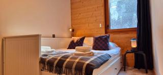 New Luxury Apartment with Panoramic View - Châtel - 4