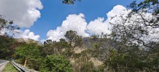 Periyar Hills Homestay, Thekkady - Thekkady - 5