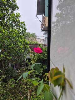Dạ Thảo - Hue - 2