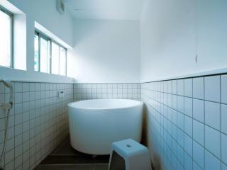 &stay ミツビシソウ - 5