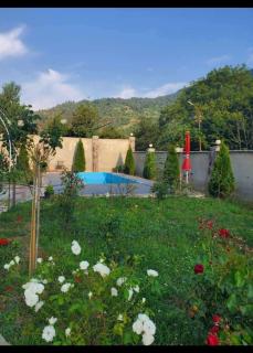 СУХУМИЯ - Borjomi - 9