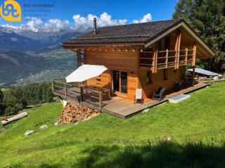 Mayen de Tsèbetta 36, magnifique chalet au milieu des sapins - - 0