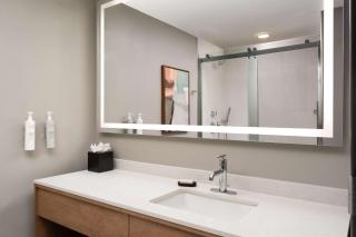 Embassy Suites by Hilton at Hot Springs Convention Center - 3