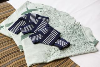 Hotel Asyl Nara Annex - Nara - 1