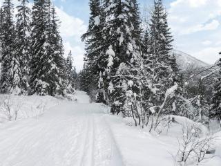 4 star holiday home in Hemsedal - 5