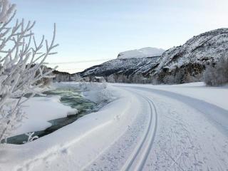 4 star holiday home in Hemsedal - 5