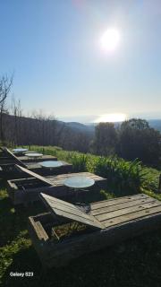 Domaine COLONNA SANTINI ,Chambre d hôtes Piscine, sauna, spa - Porri - 8