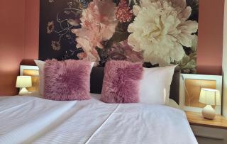 Pension Lavida Usedom - Zinnowitz - 2