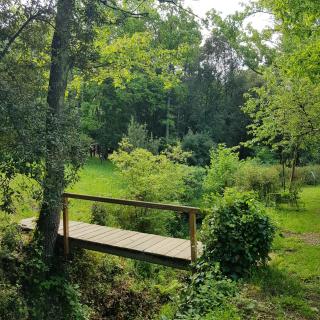 Beautiful studio surrounded by nature - Lanet - 8
