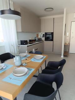 "The Sail" - beautiful, modern and brand new apartment in Mandre - Mandre - 1