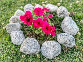 The Founder's Tribe - 1