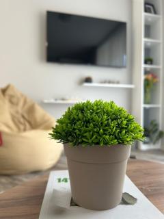 Tanov Cozy Place - Blagoevgrad - 2