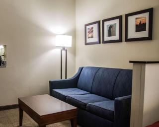 Comfort Suites University - Research Park - Charlotte - 4