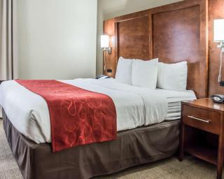 Comfort Suites University - Research Park - Charlotte - 2