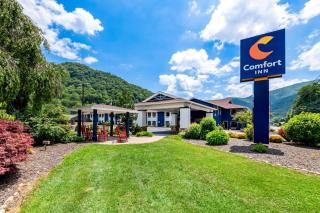 Comfort Inn near Great Smoky Mountain National Park - Maggie Valley - 0
