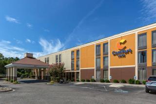 Comfort Inn Laurinburg - Laurinburg - 0