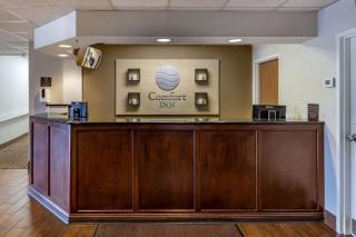 Comfort Inn Laurinburg - Laurinburg - 5