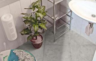 Ferienhaus Carpin - Carpin - 3