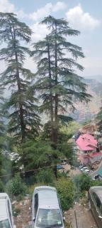 Krishna Hill Stay Near Mall Road - Shimla - 1