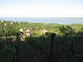 Zoltán Borháza - Tihany - 1