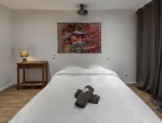 T2 Lumineux N1 avec Jacuzzi & Vidéo - Roubaix - 6