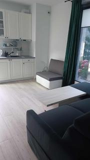 Aparts4U - Kras Resort Apartament C209 z prywatnym jacuzzi i tarasem - Szklarska Poręba - 1