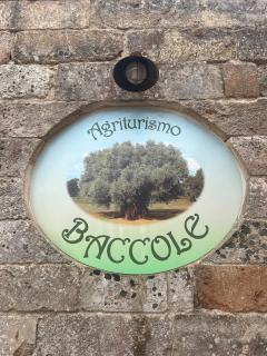 Agriturismo Baccole - Gagliano del Capo - 0