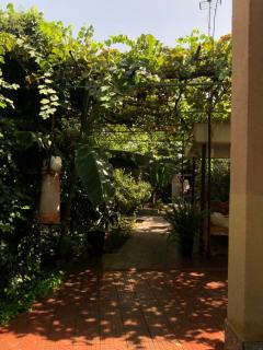 Secret Garden - 9