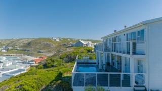 Driftwood - Struisbaai - 2