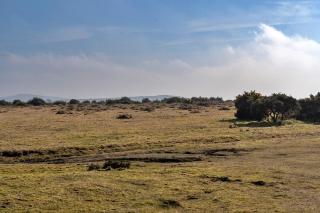 Finest Retreats - Jubilee Barn Cottage at Bodmin Moor - Saint Breward - 6