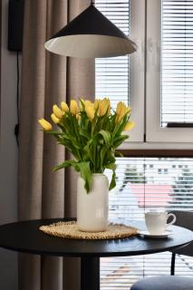 IGIS Apartament z tarasem na dachu - Zamość - 0