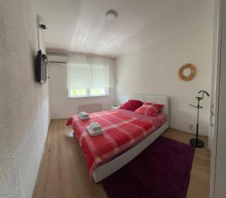 Pavlovic apartman - Belgrado - 0