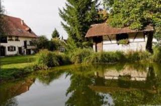 Gutshof Ottenweier Hof - Neuried - 8